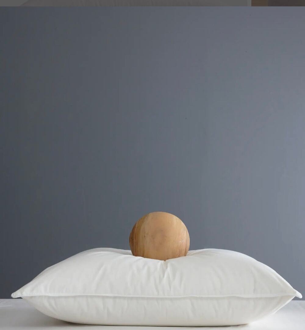 Quince Luxe Standard Goose Down Medium Pillow - NEW